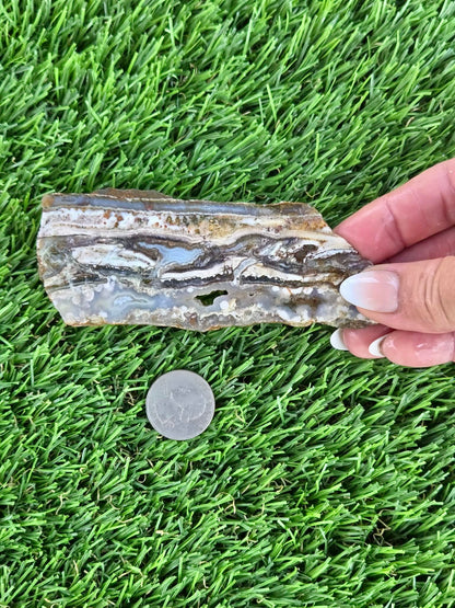 Camp Verde Agate Slabs  K534-537