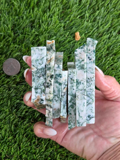 Tree Agate Slabs K523-529