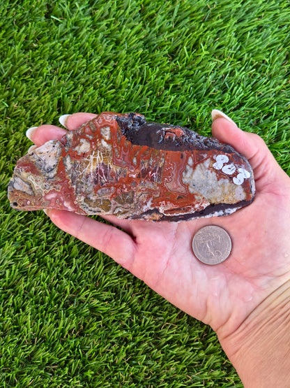 Laguna Lace Agate Slabs Q801–804