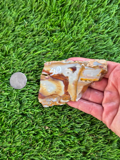 Banded Brecciated Jasper/Agate Slabs L557-562