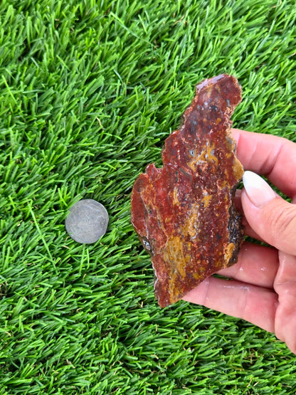 Red & Mustard Jasper Slabs N652-657