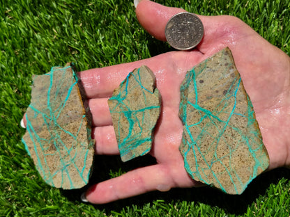 Globe Chrysocolla Slab Bundle-SB110