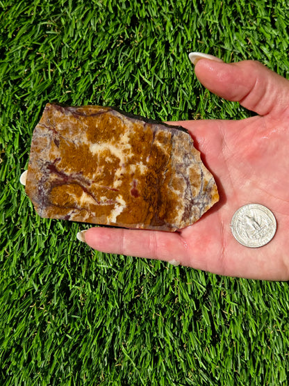 Burro Creek Jasper Slabs R841–847