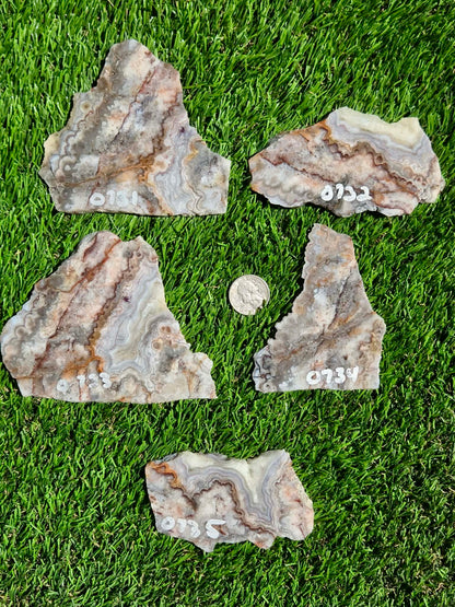 Crazy Lace Agate with Crystal Pockets Slabs O731–735