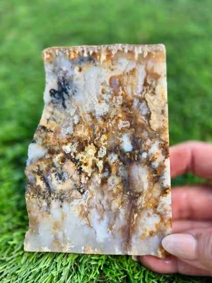 Graveyard Point Plume Agate Slabs G317-322