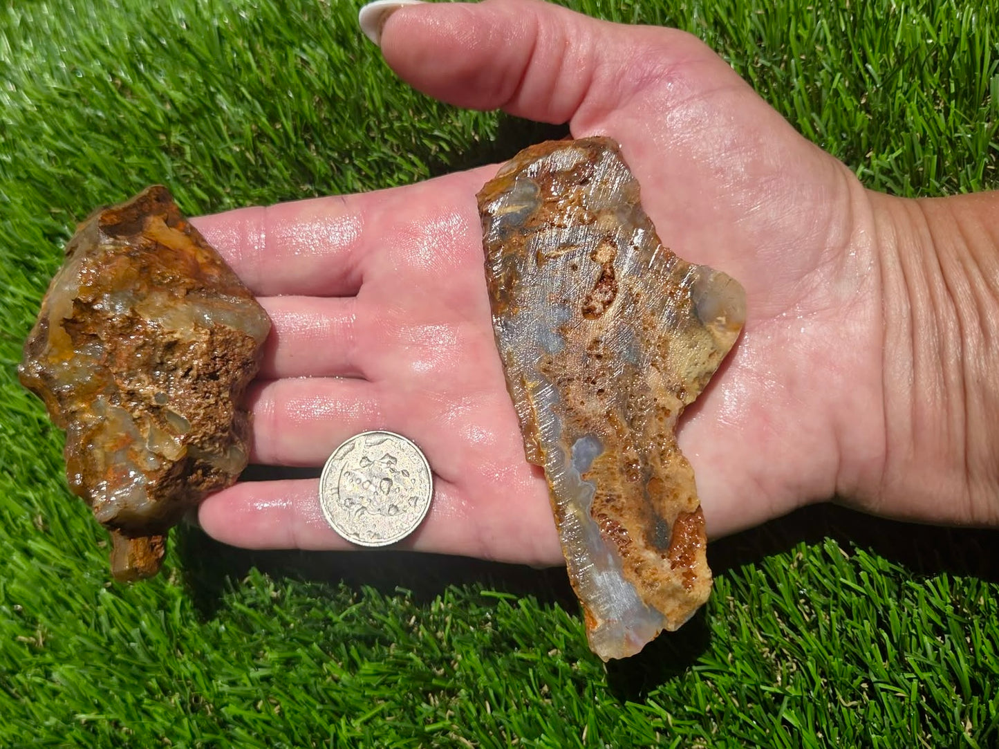 Graveyard Point Agate Slab Bundle – Oregon SB79