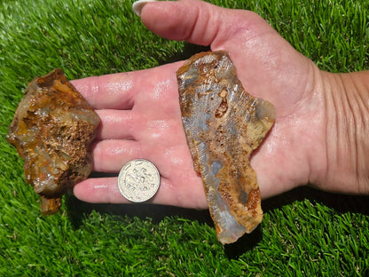 Graveyard Point Agate Slab Bundle – Oregon SB79