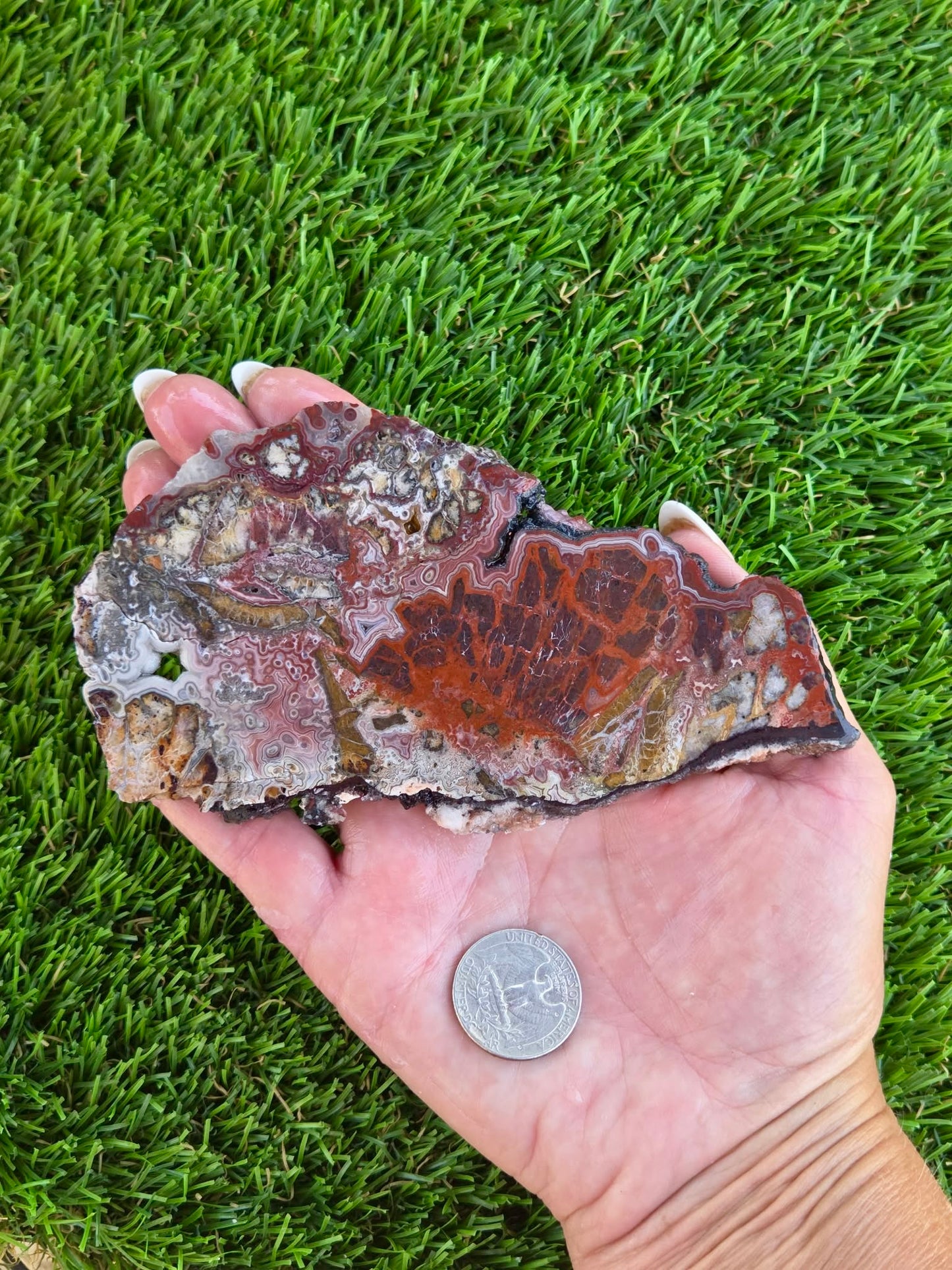 Laguna Lace Agate Slabs Q801–804