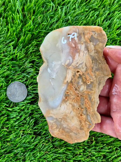 Peach, Cream & Gray Banded Agate Slabs N678-683