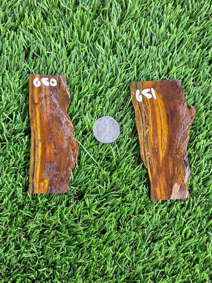 Golden Tiger’s Eye Slabs N650-651