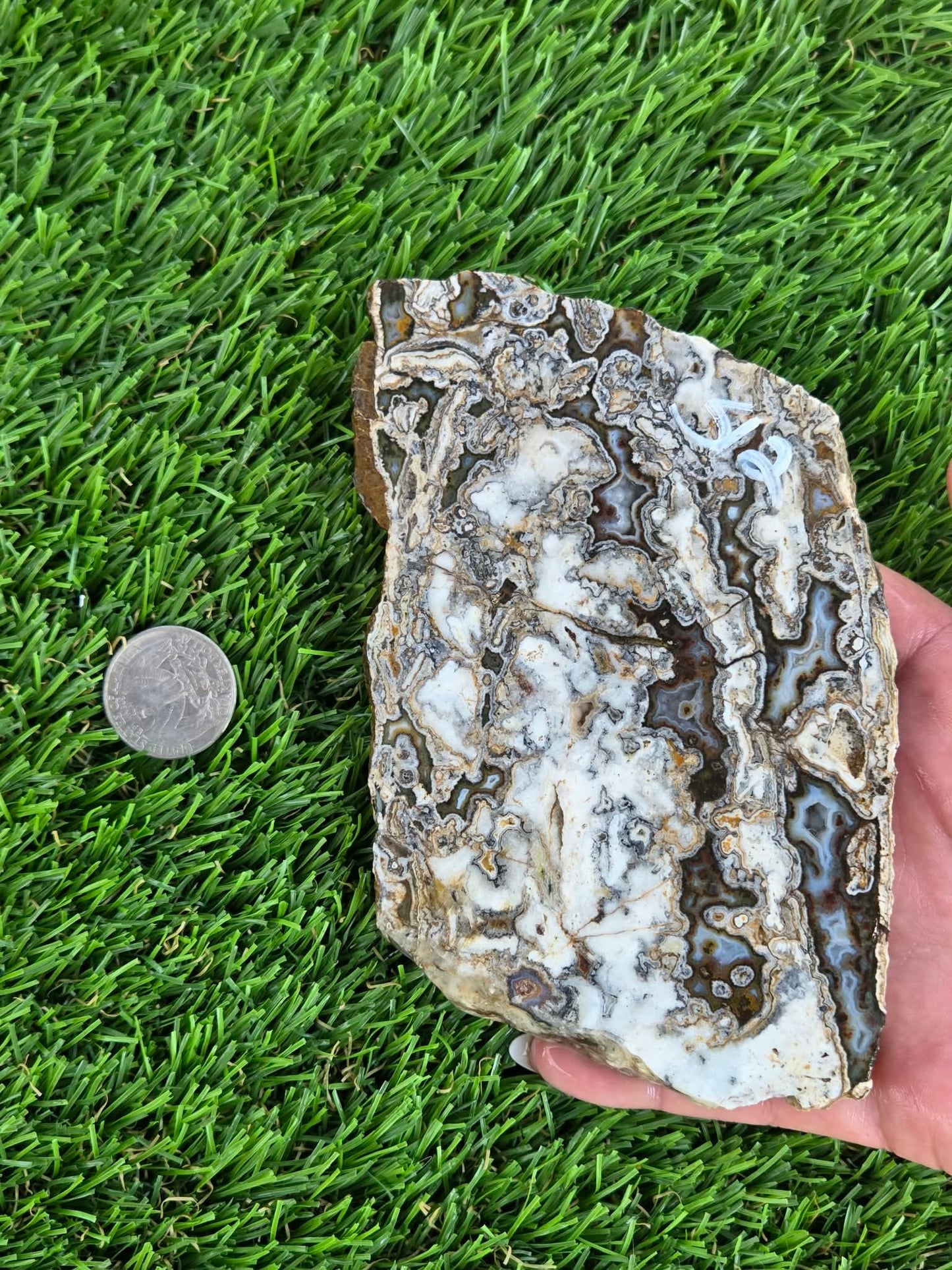 Camp Verde Agate Slabs  K512-515