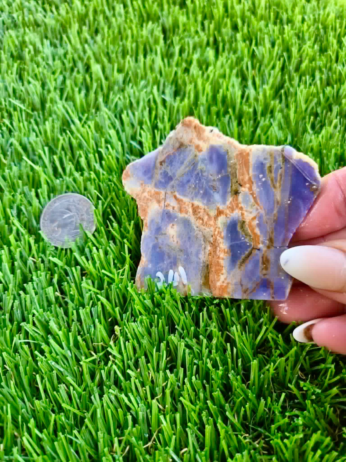 Purple Burro Creek Agate Slab 257-262