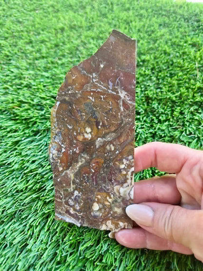 Globe Arizona Brecciated Jasper G349-353