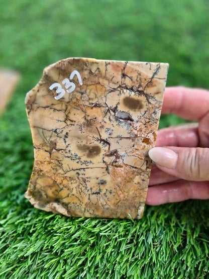 Dendritic Jasper Slabs G335-337