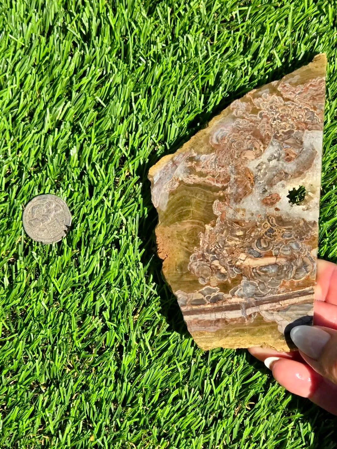 Green Mushroom Rhyolite M630-638