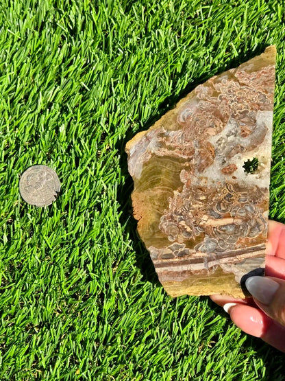 Green Mushroom Rhyolite M630-638