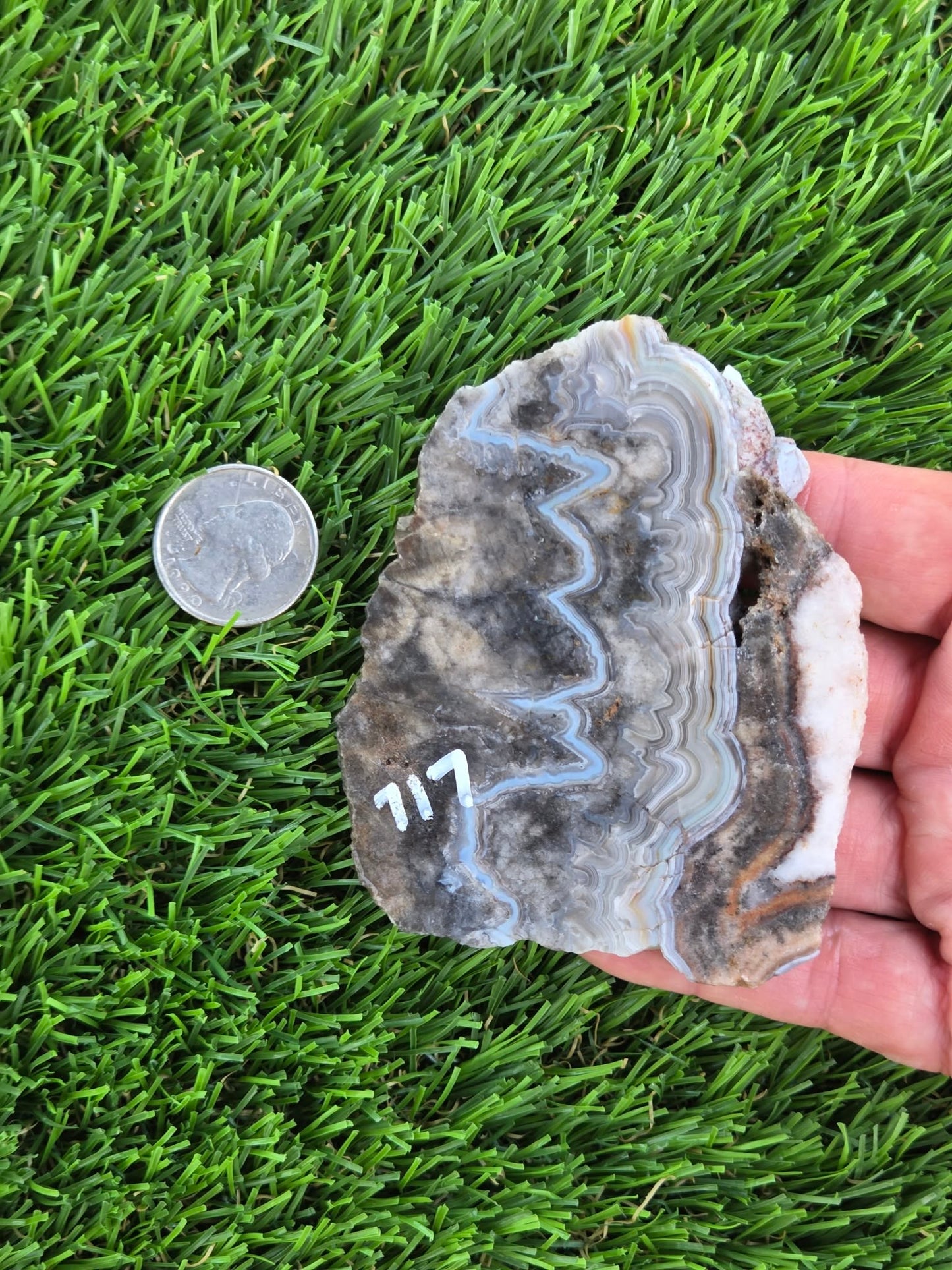 Gray Banded Crazy Lace Agate Slabs O717–723
