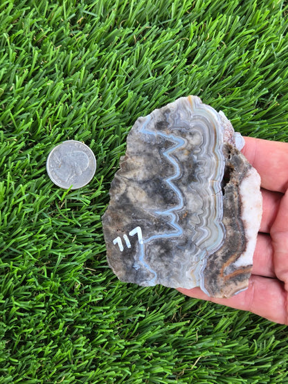 Gray Banded Crazy Lace Agate Slabs O717–723