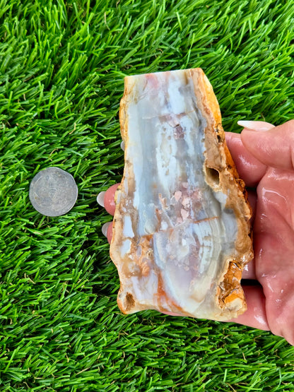 Peach, Cream & Gray Banded Agate Slabs N678-683