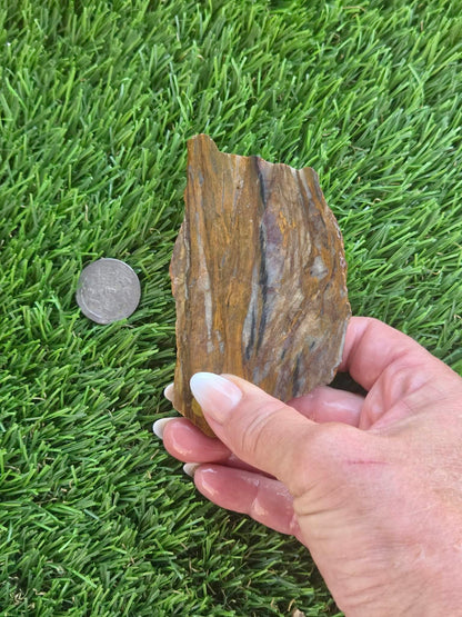 Agatized Petrified Wood Slab I453-458