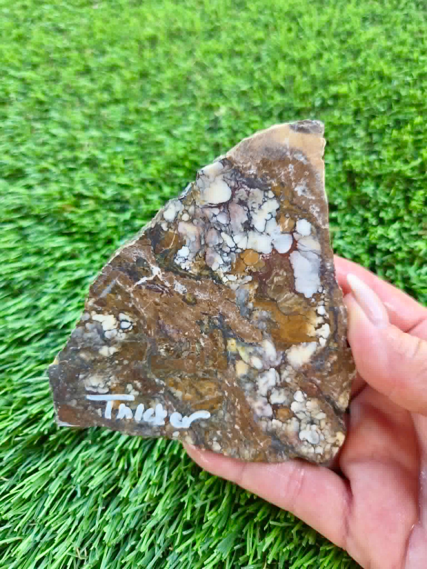 Globe Arizona Brecciated Jasper G349-353