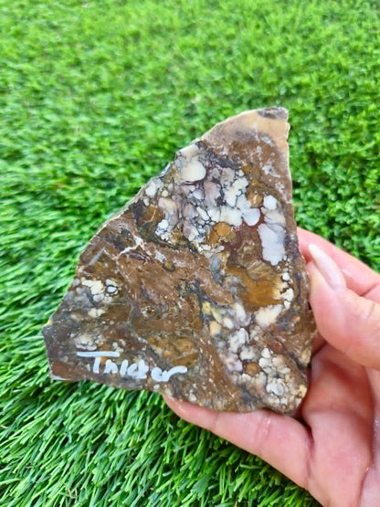 Globe Arizona Brecciated Jasper G349-353