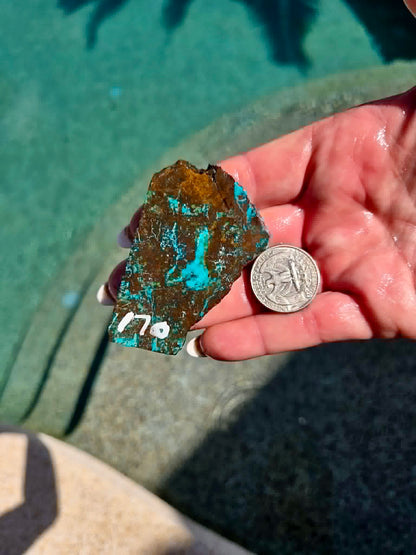 Planet Mine Chrysocolla 
Slab 166-170
