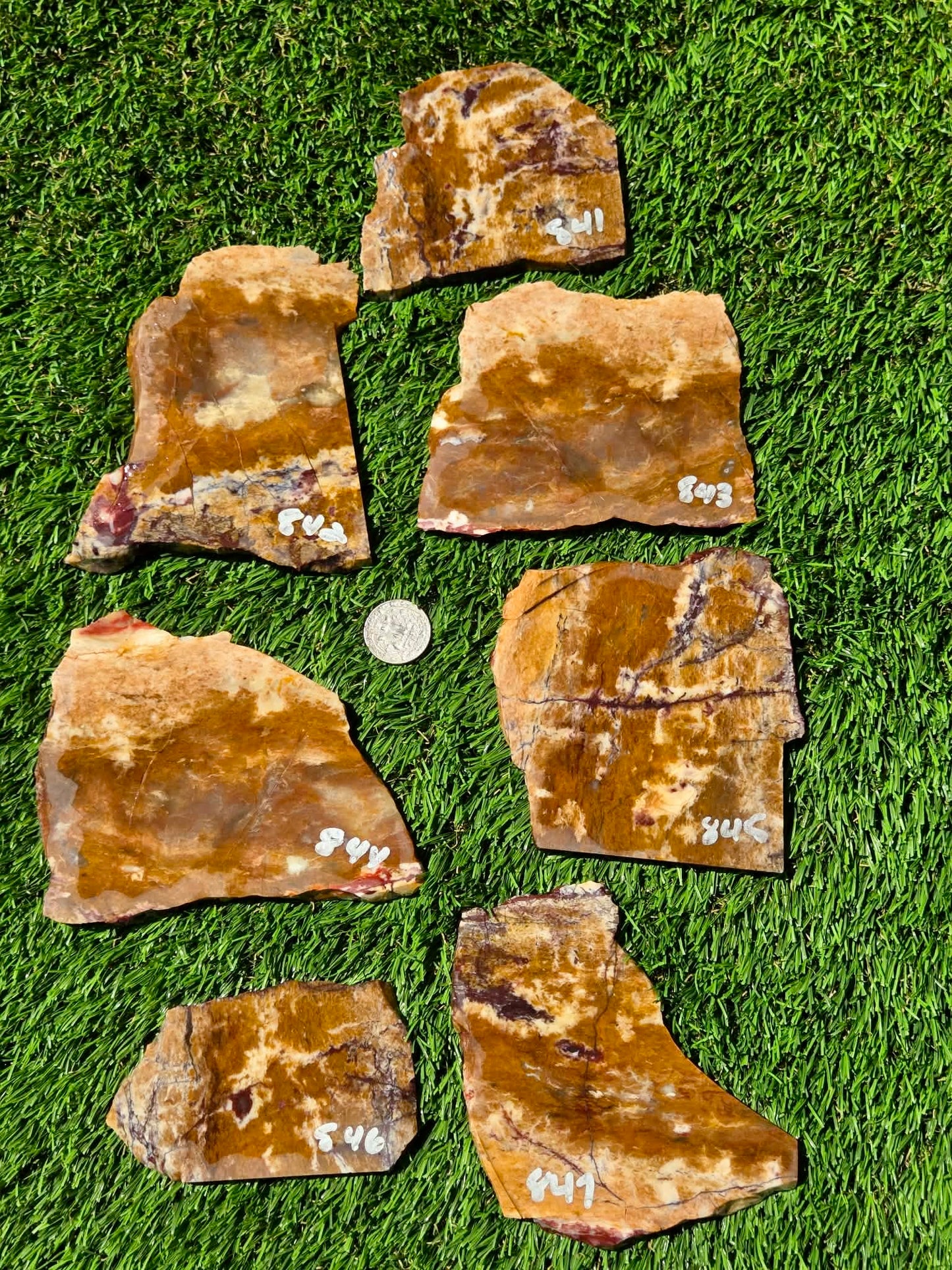 Burro Creek Jasper Slabs R841–847