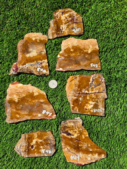Burro Creek Jasper Slabs R841–847