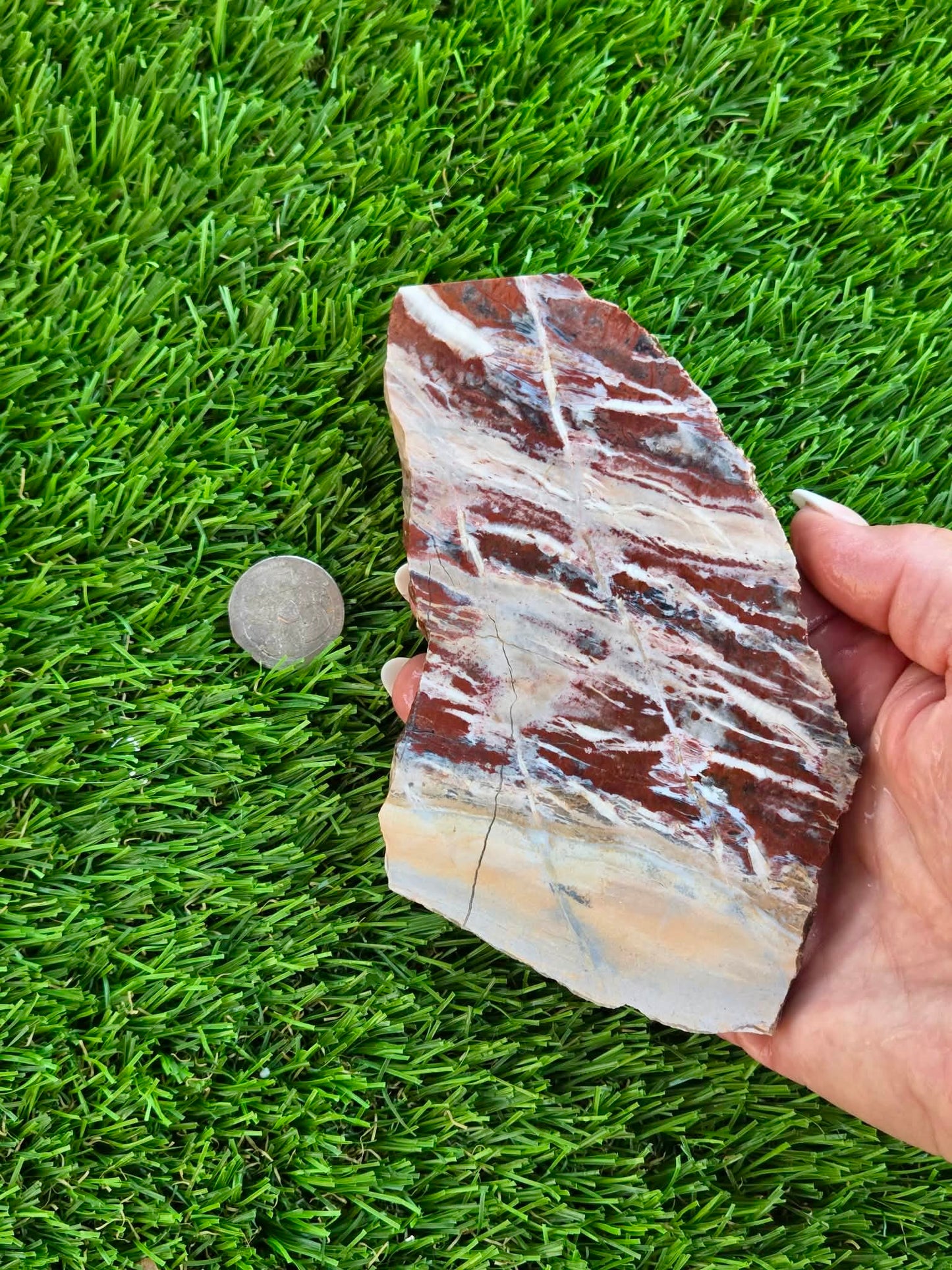Red Creek Brecciated Jasper Slabs L548-552