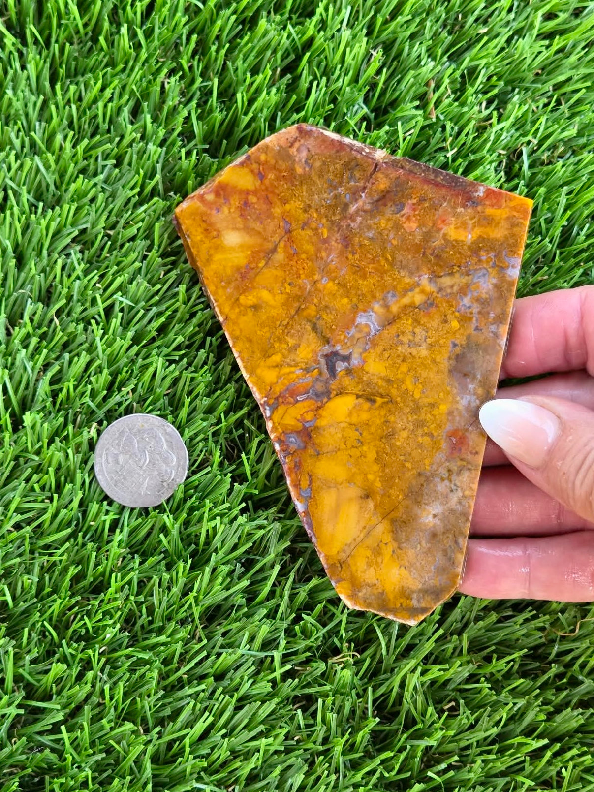 Golden Brecciated Jasper with Agate Veins M596-598