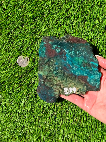 Inspiration Mine Chrysocolla, Malachite & Silica Slabs T896–900