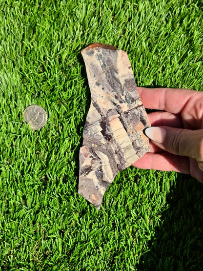 Picasso Jasper Slabs J497-502