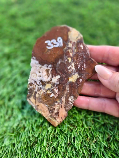 Wild Horse Jasper Slabs G338-341