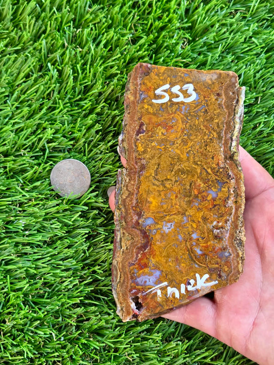 Plume Moss Agate Slabs L553-556