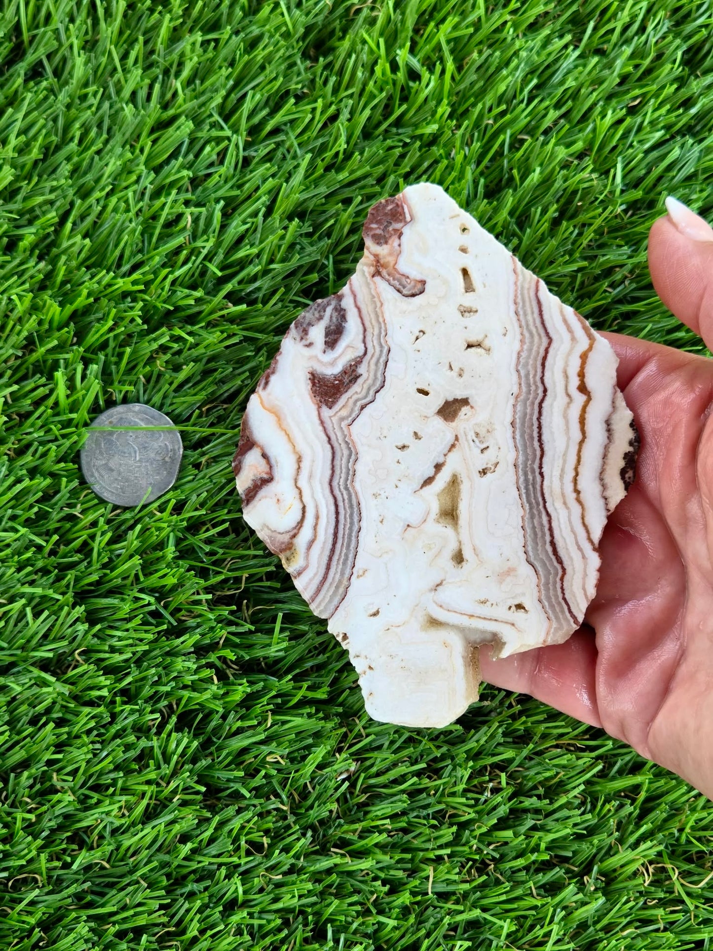Mexican Moon Lace Agate Slabs N661-662