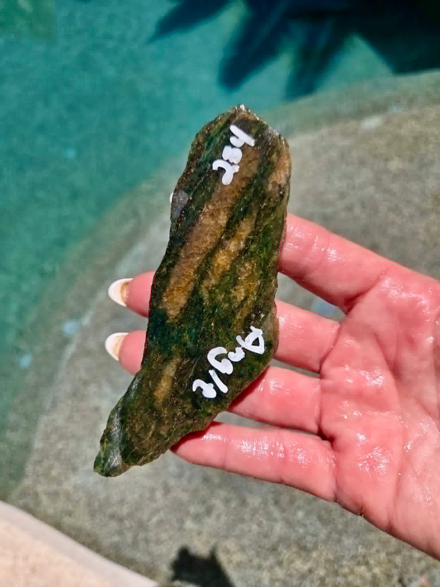 Emerald Forest Jade slab 232-235