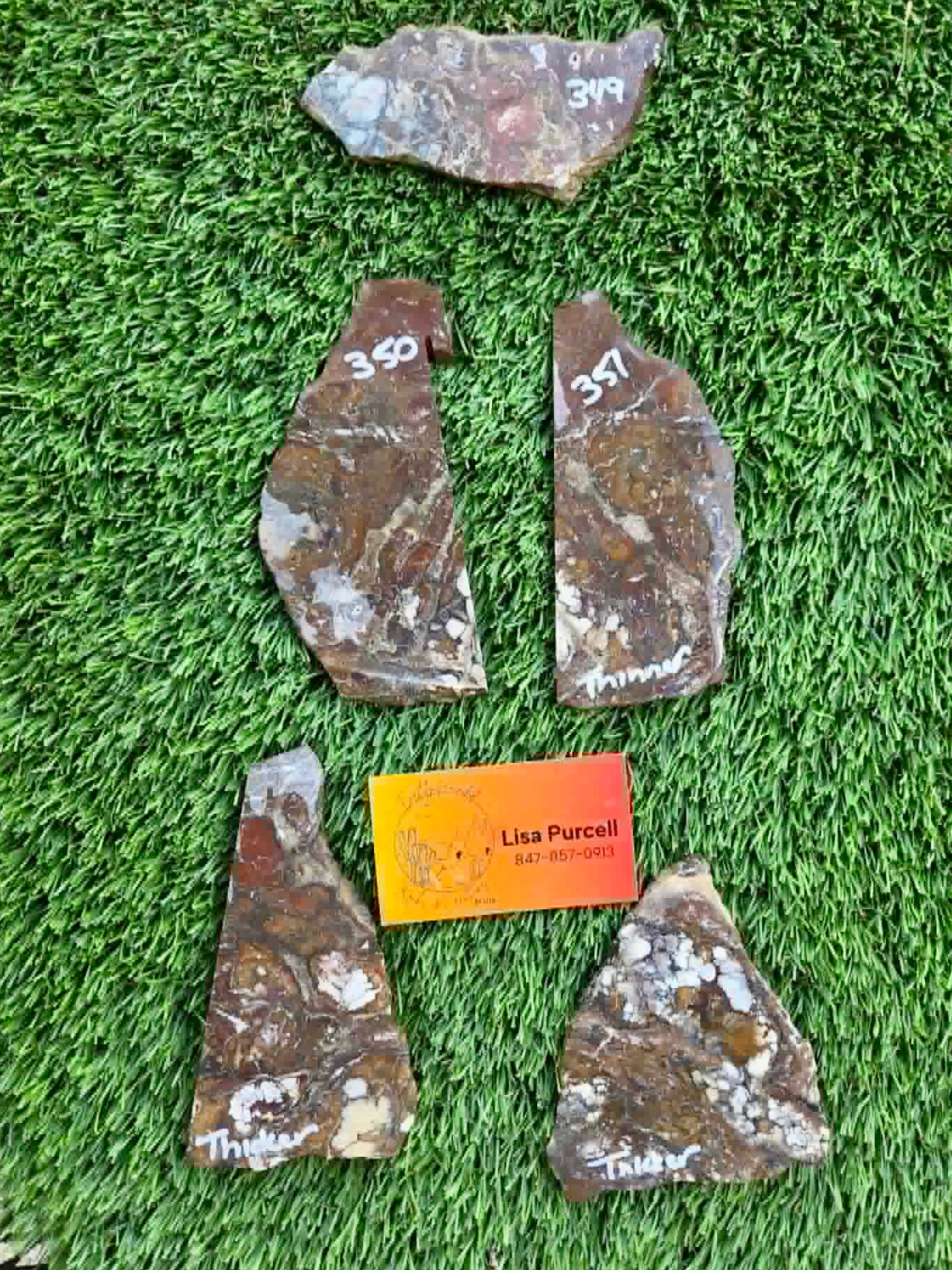 Globe Arizona Brecciated Jasper G349-353