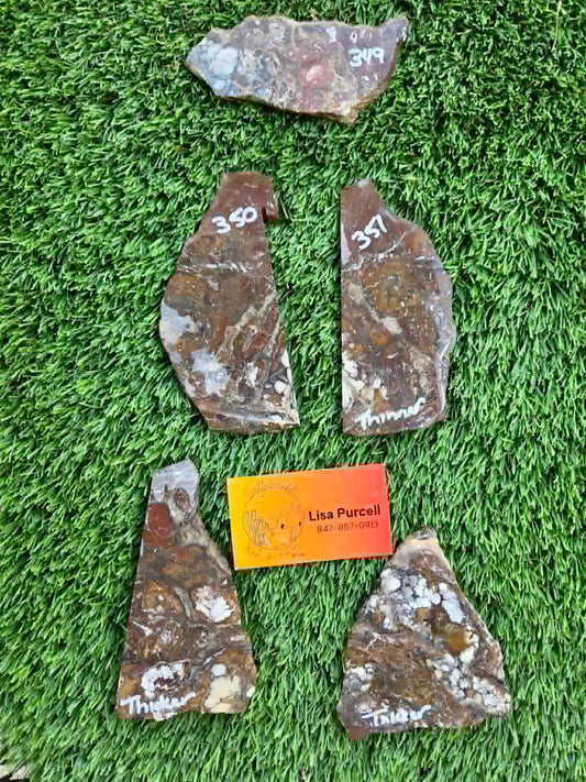 Globe Arizona Brecciated Jasper G349-353