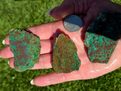 Globe Chrysocolla Slab Bundle-SB57