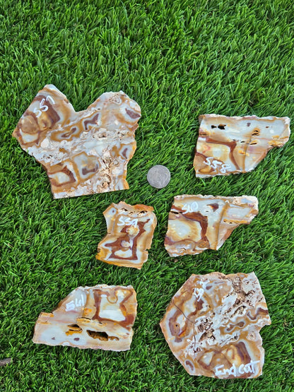 Banded Brecciated Jasper/Agate Slabs L557-562