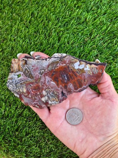 Laguna Lace Agate Slabs Q801–804