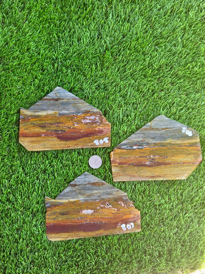 California Picture Jasper Slabs Q805–807
