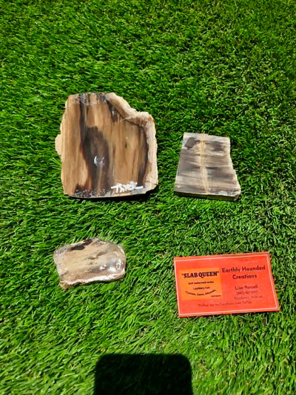 Arizona Petrified Wood I428-430