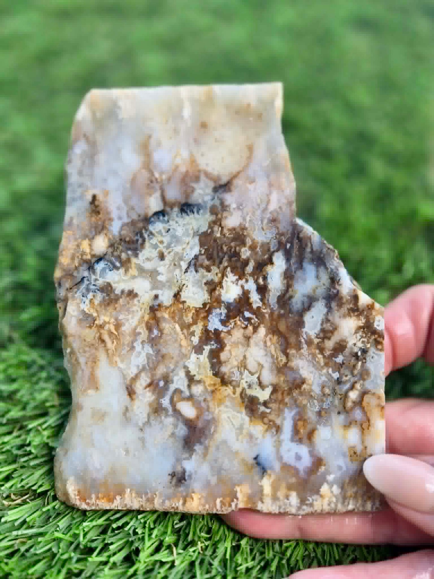 Graveyard Point Plume Agate Slabs G317-322