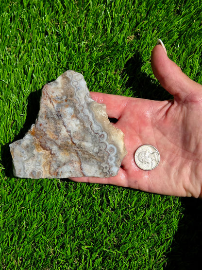 Crazy Lace Agate with Crystal Pockets Slabs O731–735