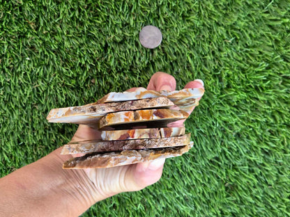 Banded Brecciated Jasper/Agate Slabs L557-562
