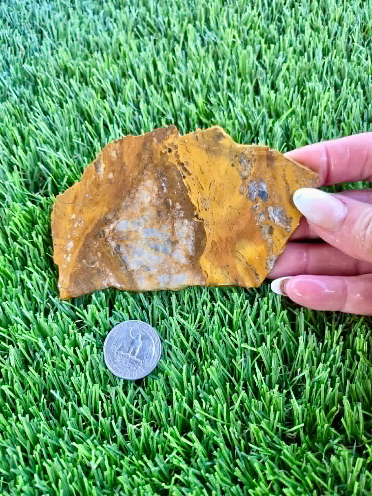 Iron-rich jasper/chalcedony with quartz Slabs F297-301
