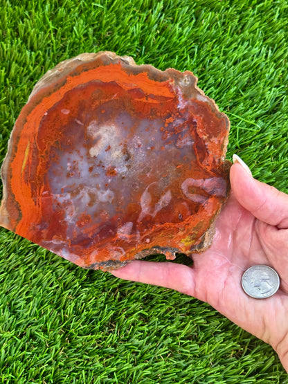 Red Carnelian Fortification Agate Slabs Q794–796