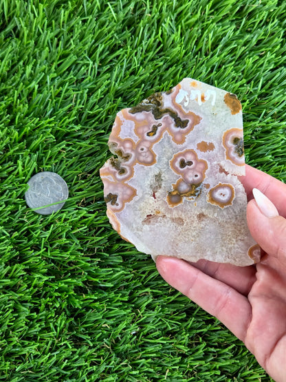Purple Crazy Lace Agate with Quartz Crystal Slabs N665-666